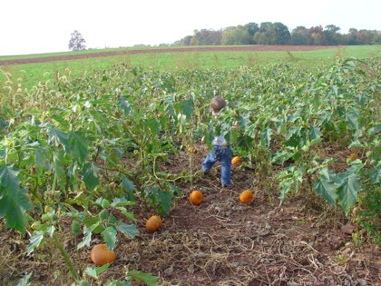 Child of the Punkins.