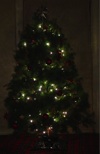 X-Mas Tree
