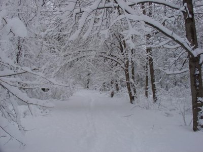 Narnia-esque in 2006