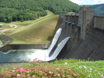 Dam flowers