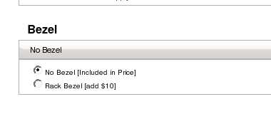 Dell servers - bezel option.