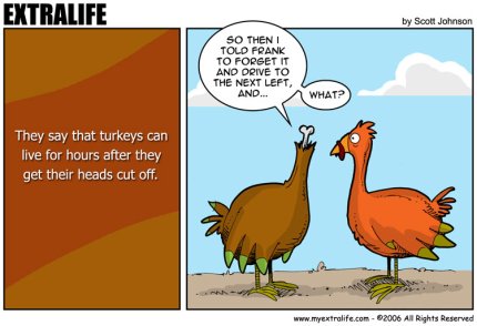 Turkey!