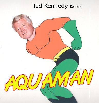 Teddy - born to swim!